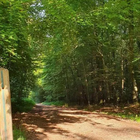 2 Avec Terrasse Aux Grandes-ventes - Api-1-52-534